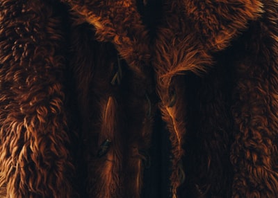 棕色的毛皮大衣
